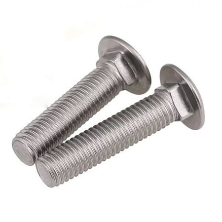LEITE Large Head Carriage Bolts mit Doppelgewinde